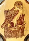 Vintage 1970s Barn Owl Art Wood Wall Plaque 10 5    X 8 5      By Artist E  Rambow