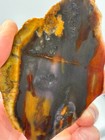 Oregon State Jasper Slab Cabbing Lapidary Carving Combo Ship Avail