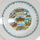 Vintage Arizona Souvenir Plate Grand Canyon State Gold Trim Edge
