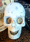 Paper Mache Style Skull Skeleton Lantern Halloween Head 8 