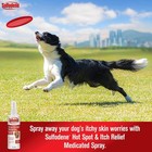 Sulfodene Brand Hot Spot And Itch Relief Medicated Spray For Dogs 8 Ounces