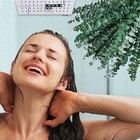 30 Pcs Eucalyptus For Shower   100  Natural Fresh Eucalyptus Stems 17  Real Euc   