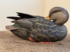 Ducks Unlimited  1 Black Duck Drake Full Size Decoy By Jett Brunet Nib