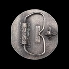 Veterinary Medicine 1980s Vintage Belt Buckle
