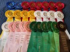 Virginia Roanoke Valley Horse Show Ribbons Awards Equestrian Events