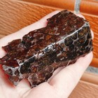 183g Sericho Pallasite Meteorite From Kenya