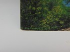 Great Smoky Mountains National Park Book Vintage Jim Thompson Company 1930 s
