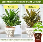 Legigo 1 1 Lb Coco Coir Chips For Plants- 100  Organic Coconut Chips Brick Potti