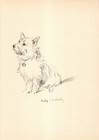 1940s Antique Lucy Dawson Cairn Terrier Print Wall Art Decor Illustration 6565h