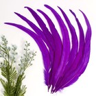 14 16 Inch Purple Natural Rooster Tail Feathers For Crafts And Decorations