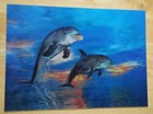  Dolphins Lenticular Art Print