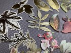Anna Griffin Flowers And Foliage Embellishments 36pc