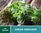 Culinary Herb Seed Collection - 15 Essential Culinary Herbs - Non-gmo