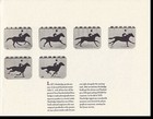 The Farm  fourth In A Series Published By University National Bank   Trust Com  