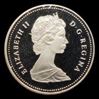          1989 Canada 1 Dollar Elizabeth Ii Mackenzie River Silver Km 168 Proof