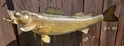 Vintage 24    Walleye Taxidermy Mount Weighted Plaque Glow Eyes Mi Real Skin
