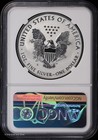 2019-s  1 American Silver Eagle 1 Oz Unc   Ngc Enhanced Rev Pr69   Coa 25328