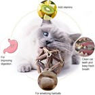 2-pack Natural Catnip Toys - Silvervine Stick For Indoor Cats  Teeth Cleaning