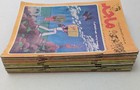 1981 Majid Magazine 14 Arabic Majed Vol 3                                                                        