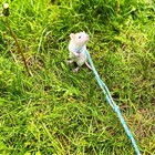 3 Pack Adjustable Hamster Leash Harness For Chinchilla Rabbit Hamster Guinea    