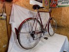 1983 Schwinn World Tourist Tall Mens 5-speed Cruiser Bike Continental Racer Usa