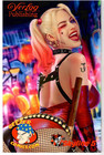 Skyline 5 Graffiti Harley Quinn Margot Robbie Homage Risque Virgin Variant Nm