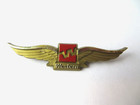 Vintage Western Airlines Jr Pilot Kids Flying Wings Plastic Pin Souvenir