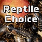 Dubia Roaches  small  Medium  Large  Adult  Free Shipping  20 Counts-1000 Counts