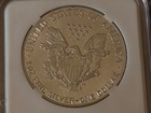 United States Us American Silver Eagle Silver Collectable 2020 Coin 1 One Dollar