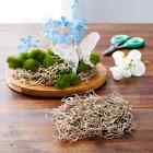 Supermoss   Natural Preserved Spanish Moss  Natural Brown 11  X 10  Package Size