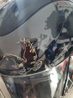 Lynyrd Skynyrd Graphic Full Face Motorcycle Helme Size Large