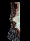 Xl Wicked Curly Birdseye White Maple Burl Wood Live Edge Curly Maple Epoxy Wood 