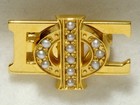 10k Solid Gold Phi Beta Sigma Fraternity sorority Pin With Seed Pearls Vintage