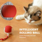 Automatic Rolling Ball Smart Cat Dog Toy Electric Pet Self-moving Kitten Game Us