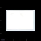 Old Vintage Photo Men Women Sitting At Dinner Table