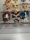 Lps Lot Rare Great Dane 817 Star Eyes Beagle 849 Hasbro Littlest Pet Shop