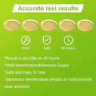 Mold Test Kit For Home - 5 Pack Individual Tests diy Detector At Home - New