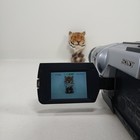 Sony Handycam Dcr-trv250  Digital 8 Camcorder With Nightshot Tested   Works