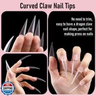 Wellquinn 300 Pcs Long Curved Stiletto Nail Tips Full Cover Eagle Claw Press 