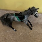 Grand Champions Horse-dapple Grey Thoroughbred With English Saddle   Bridle-used