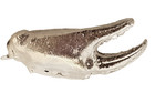 2026 0 8  Troy Oz 999 Silver-crab Claw - Full 3d In Suspension Display Box 