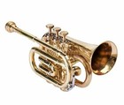 Brass Bb Pocket Trumpet free Hard Case And Mouthpiece Trumpets Brass 