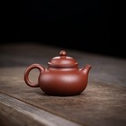 200cc Chinese Yixing Zisha Purple Clay  Hong Pilongni Handmade Rongtian Teapot