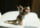Squirrel With Book Statue Garden Sculpture Tabletop Figurine Home Decor Gifts