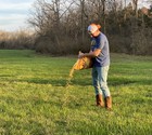 Deer Corn - Deer And Turkey Feed 50lb Free Shipping