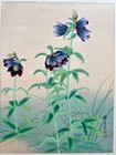 Japanese Woodblock Print    zuigetsu Soka Gafu Black Lily    Ikeda Zuigetsu 1932