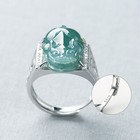 Men Women Pure S925 Sterling Silver Natural Grade A Jade Jadeite Coin Pixiu Ring