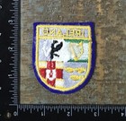 Vintage Ireland Coat Of Arms Crest Travel Souvenir Sew-on Patch 1970   s Felt