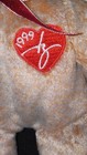 1999 Signature Bear Ty Beanie Baby Very Collectable Misspelled Gasport  