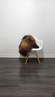 Icelandic Sheepskin Rug   Sheepskin Rug   Soft Silky Long Wool  c132